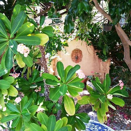 B&B Le Terrazze Capo dʼOrlando Exterior foto